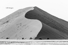 Dunes V